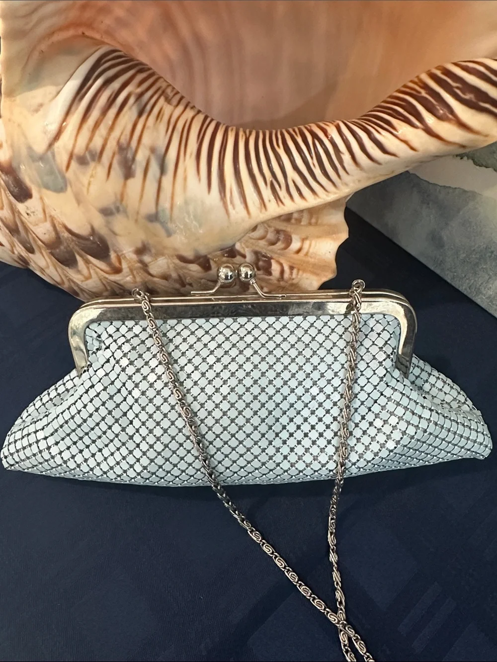 Vintage Silver-White Mesh Evening Clutch with Chain